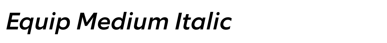 Equip Medium Italic